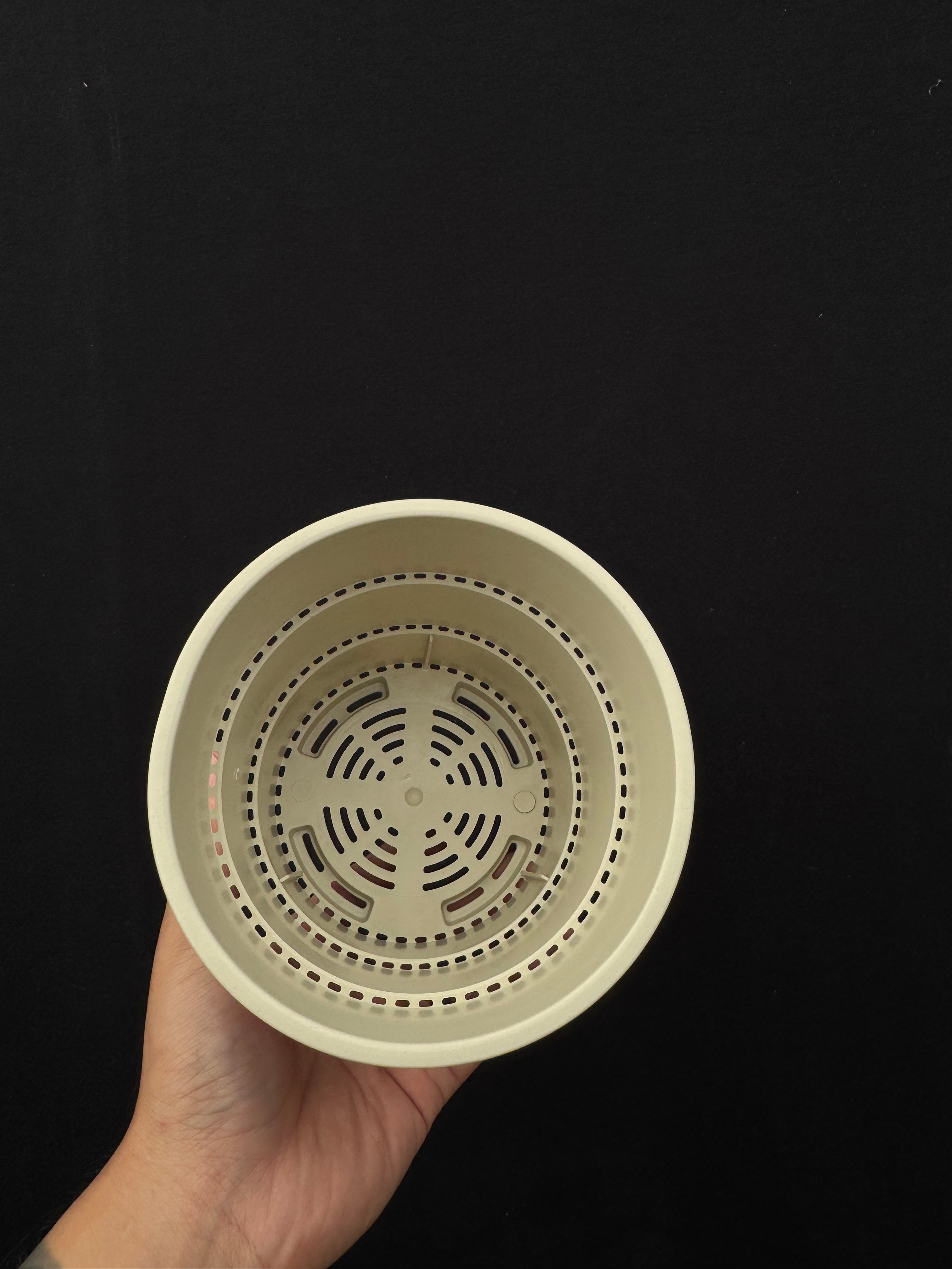 5" Breathable Plastic Aroid Pot (10pcs/pack)